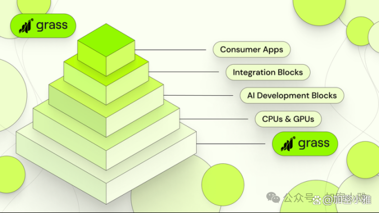 赛车赔率刷新纪录，竞猜热度飙升的简单介绍