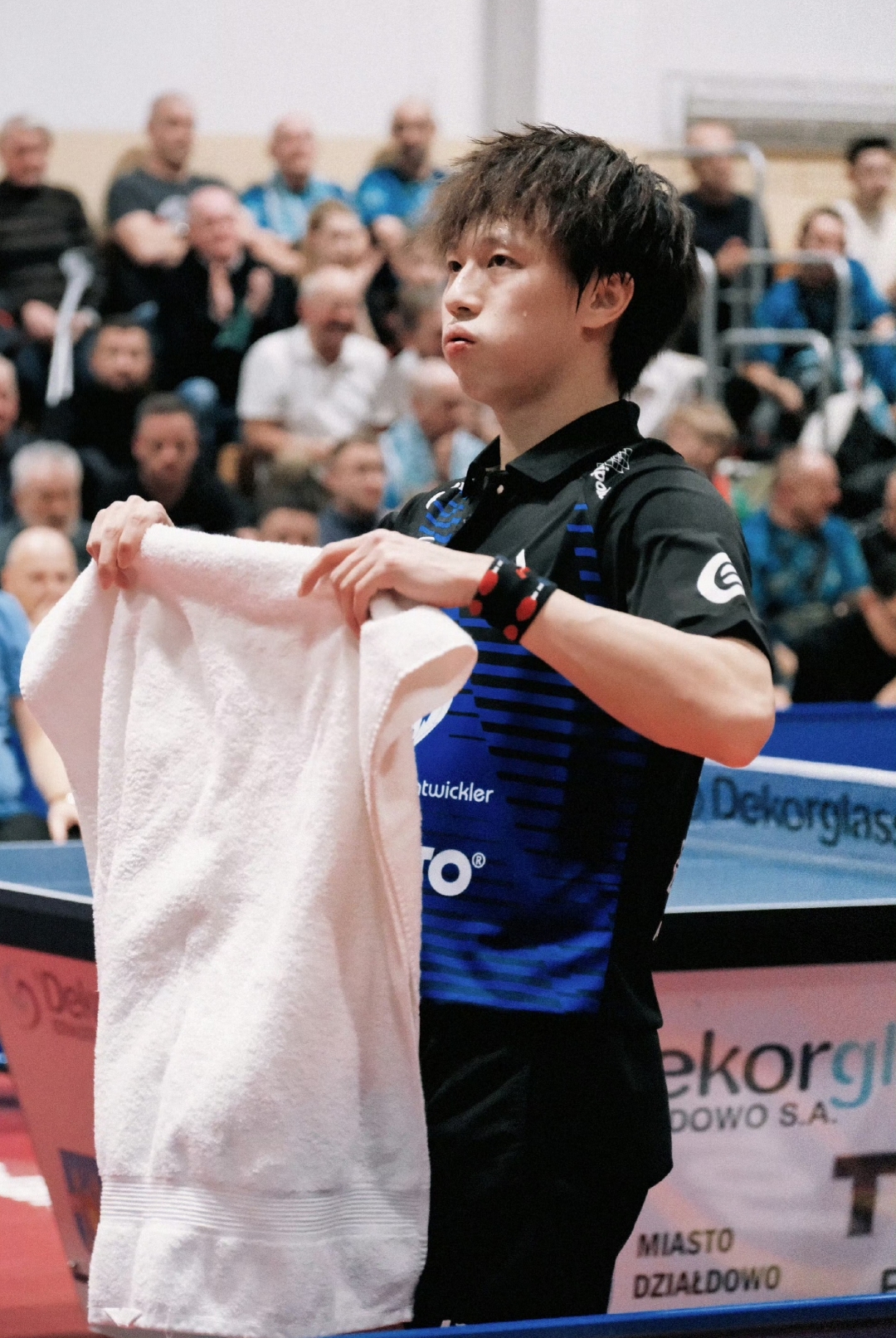 瑞典队力克中国队,林高远带队取胜 瑞典队力克中国队,林高远带队取胜