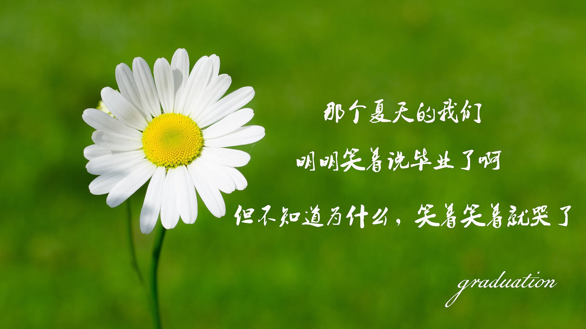 锁与钥匙，从雄鹿的铜墙铁壁，到伦纳德的致命接管