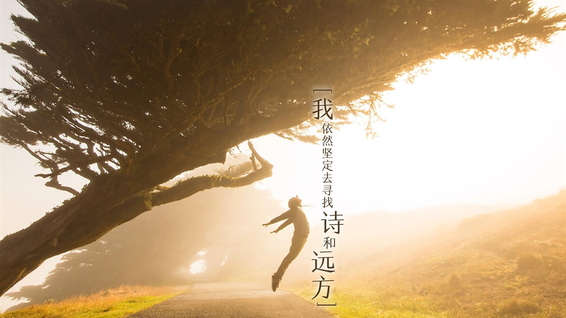 跨越绿茵的传奇,乌克兰一波带走中国,梅西扛起全队的启示