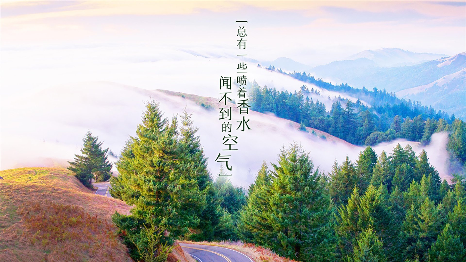 曼城的蓝色风暴中，韩国前锋黄喜灿为何是唯一失控变量？
