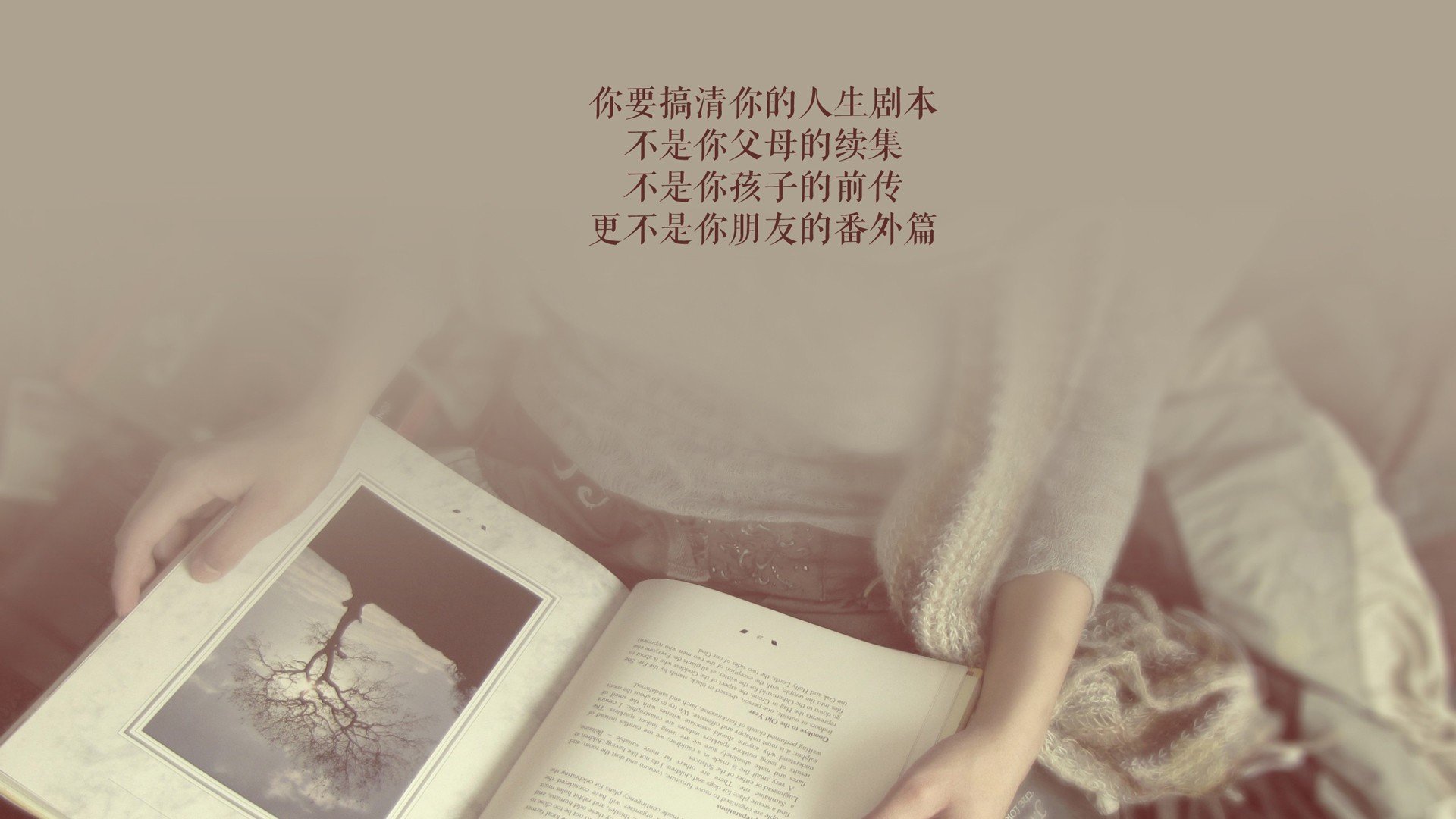 命运的双翼,奥亚尔萨瓦尔的灵光与巴斯克血脉的胜利