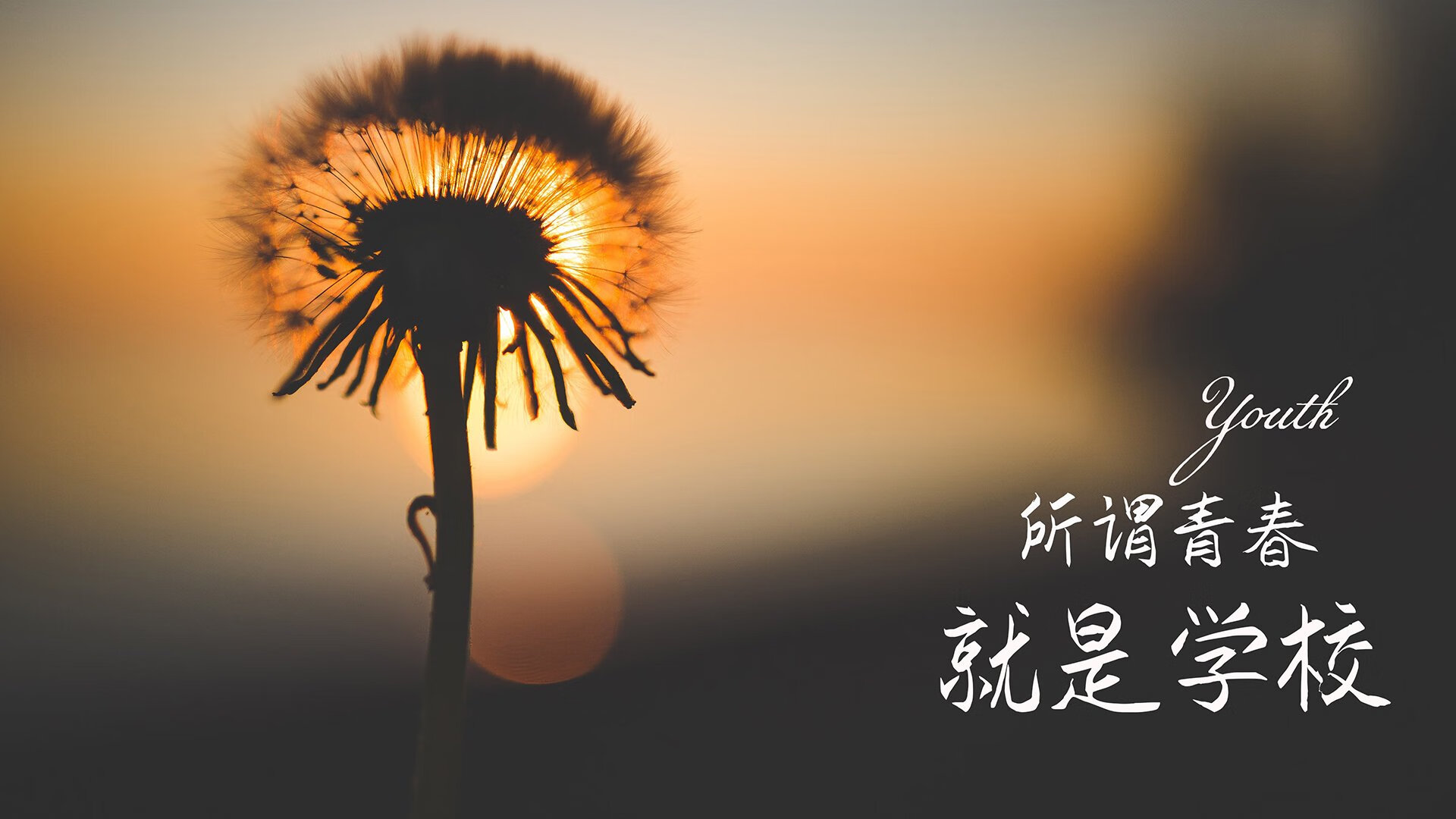 极限悖论,当亚洲铁骑踏碎南美舞步,库尔图瓦的孤勇定义了C组唯一的生存法则